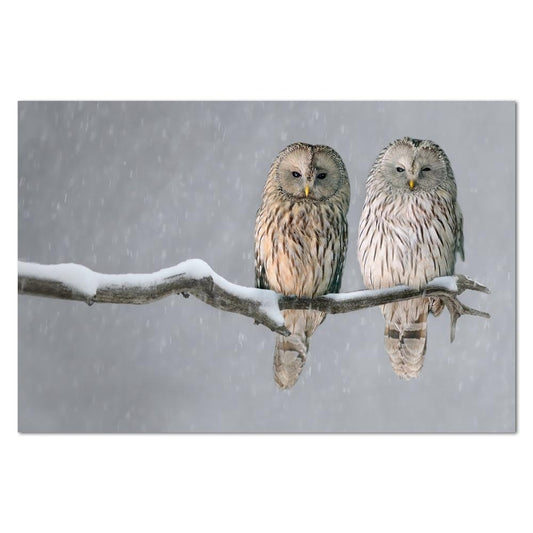wall-art-print-canvas-poster-framed-A Pair Of Owls-by-Gioia Wall Art-Gioia Wall Art