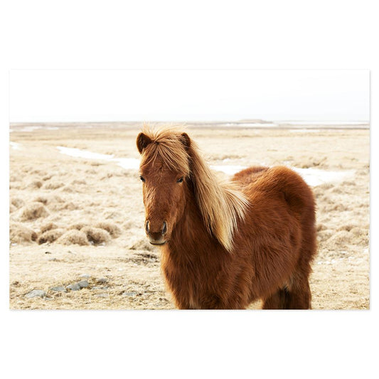 wall-art-print-canvas-poster-framed-A Wild Brown Horse-by-Gioia Wall Art-Gioia Wall Art