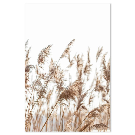 wall-art-print-canvas-poster-framed-Beach Pampas Grass-by-Gioia Wall Art-Gioia Wall Art