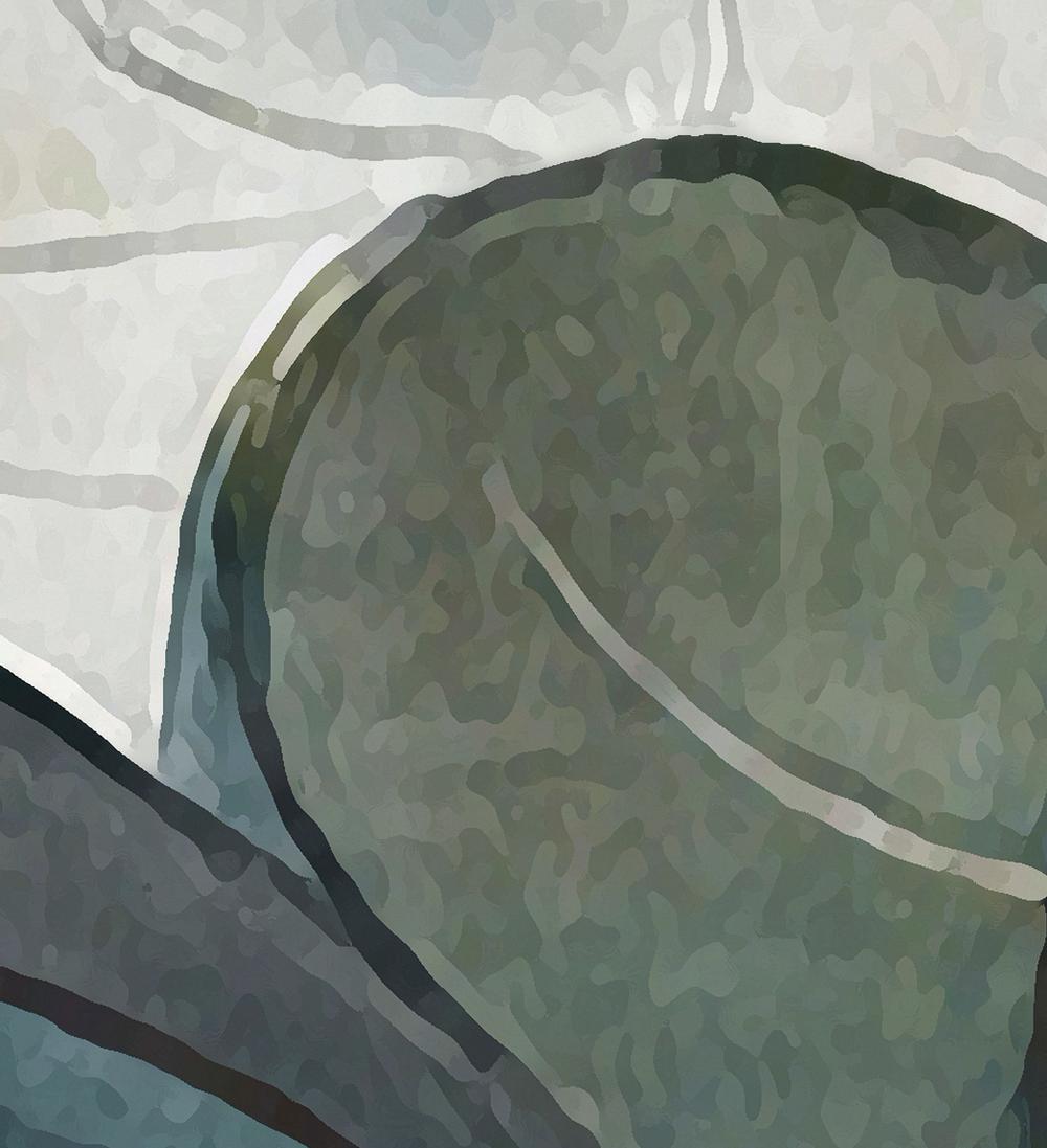 wall-art-print-canvas-poster-framed-Green Mystery, Abstract Art-by-Gioia Wall Art-Gioia Wall Art