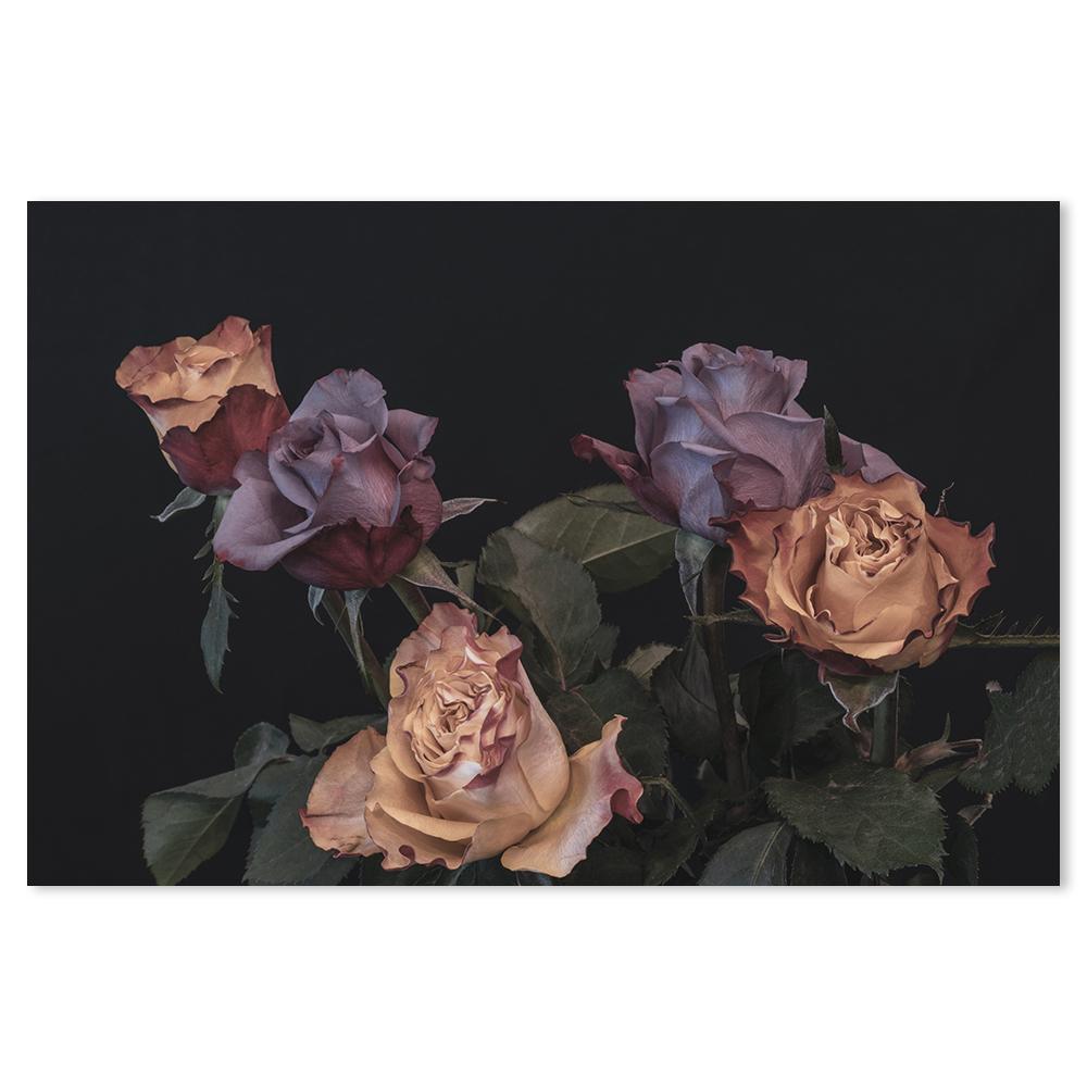 wall-art-print-canvas-poster-framed-Vintage Roses-by-Gioia Wall Art-Gioia Wall Art