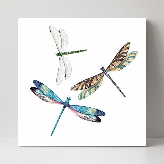 wall-art-print-canvas-poster-framed-Watercolor Dragonfly Trio-by-Gioia Wall Art-Gioia Wall Art